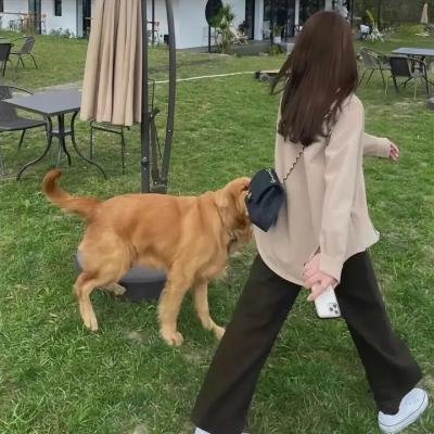 秘鲁：神秘宝藏 在线观看封面